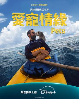 海报背景
